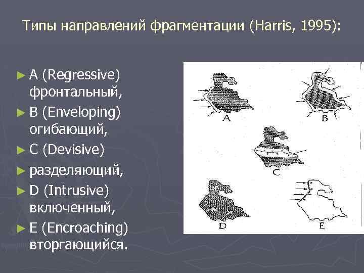 Типы направлений фрагментации (Harris, 1995): ►А (Regressive) фронтальный, ► B (Enveloping) огибающий, ► C