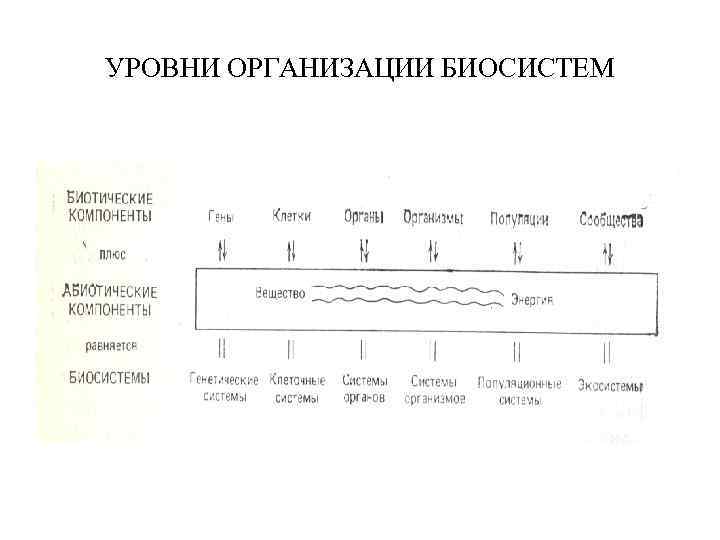 УРОВНИ ОРГАНИЗАЦИИ БИОСИСТЕМ 