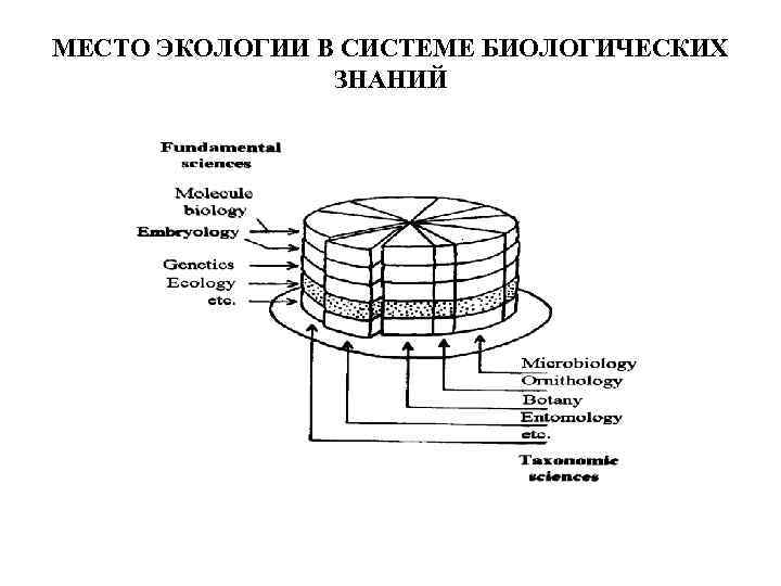 МЕСТО ЭКОЛОГИИ В СИСТЕМЕ БИОЛОГИЧЕСКИХ ЗНАНИЙ 