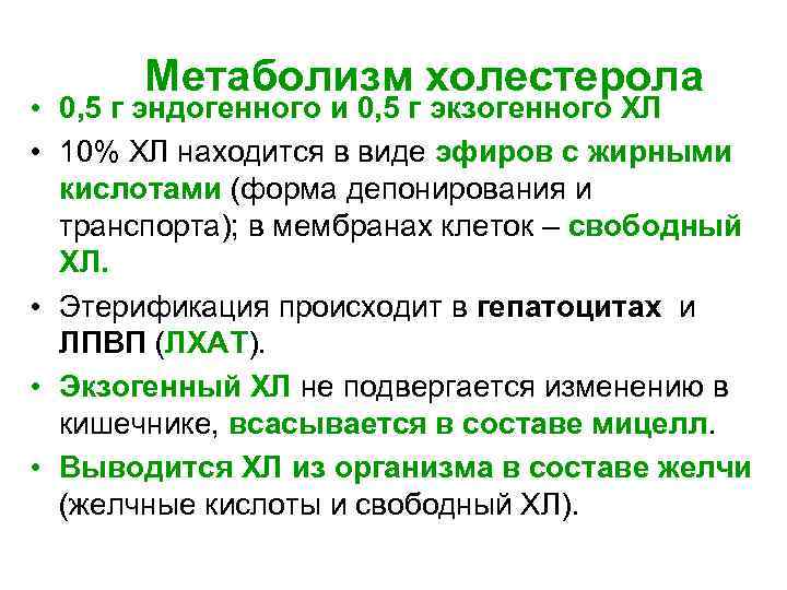 Метаболизм холестерола • 0, 5 г эндогенного и 0, 5 г экзогенного ХЛ •