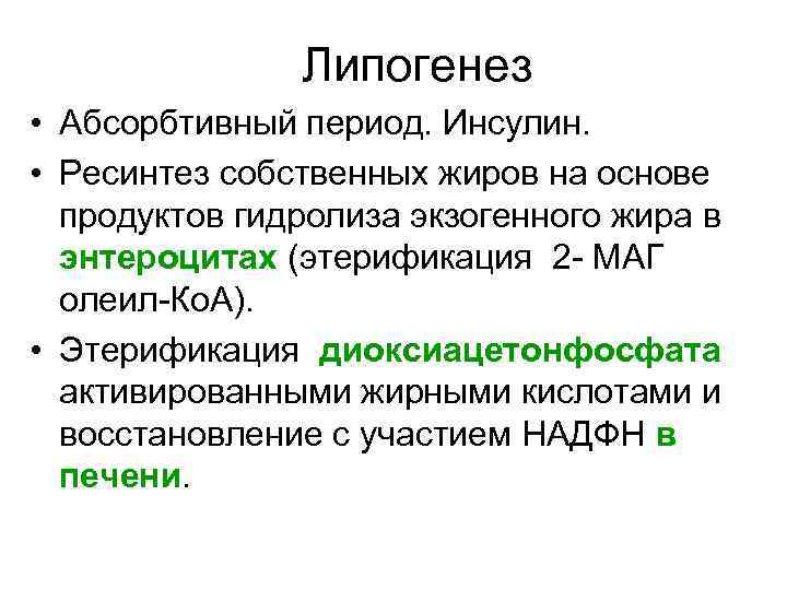 Липогенез • Абсорбтивный период. Инсулин. • Ресинтез собственных жиров на основе продуктов гидролиза экзогенного