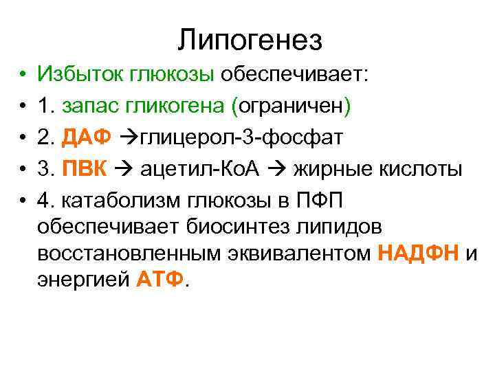 Липогенез • • • Избыток глюкозы обеспечивает: 1. запас гликогена (ограничен) 2. ДАФ глицерол-3