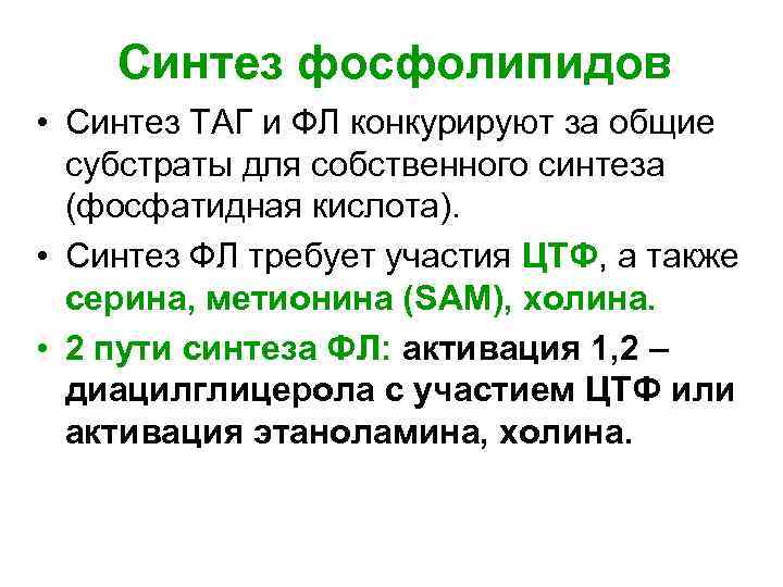 Синтез фосфолипидов • Синтез ТАГ и ФЛ конкурируют за общие субстраты для собственного синтеза