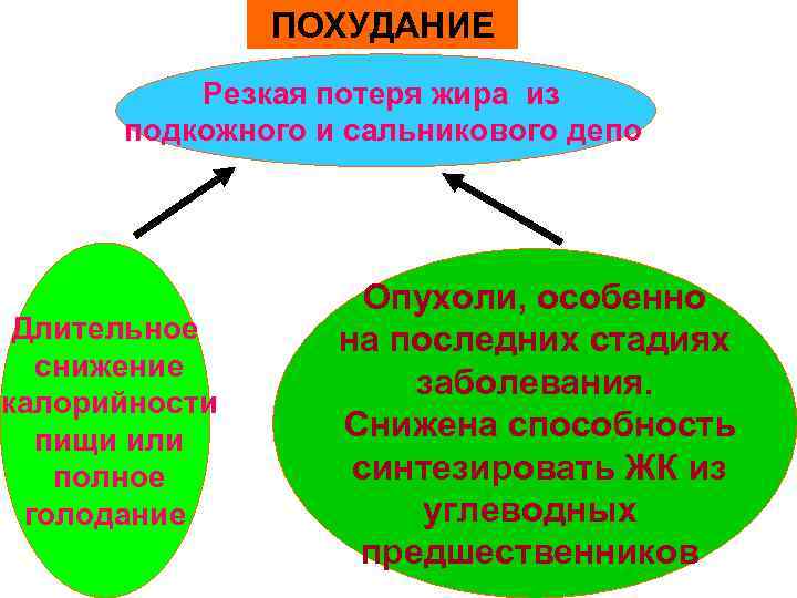 ПОХУДАНИЕ Резкая потеря жира из подкожного и сальникового депо Длительное снижение калорийности пищи или