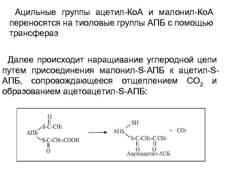 Ацетил сайт