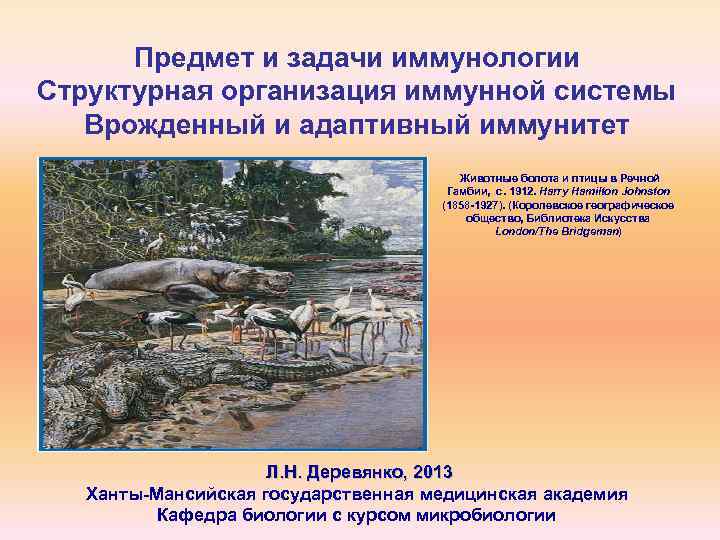 Предмет и задачи иммунологии Структурная организация иммунной системы Врожденный и адаптивный иммунитет Животные болота