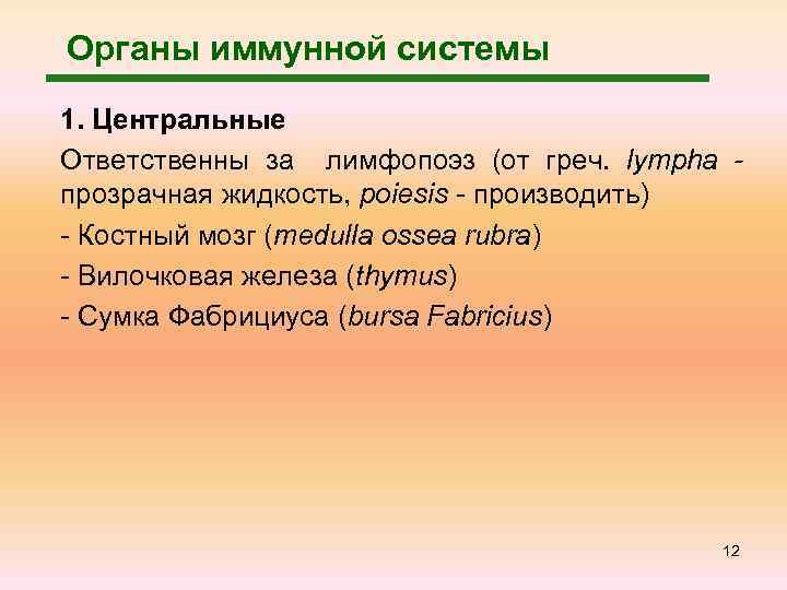 Органы иммунной системы 1. Центральные Ответственны за лимфопоэз (от греч. lympha прозрачная жидкость, poiesis