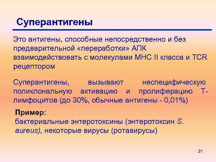 Суперантигены Это антигены, способные непосредственно и без предварительной «переработки» АПК взаимодействовать с молекулами МНС
