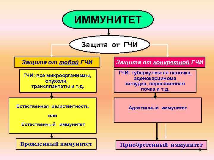 Виды патологии иммунной системы схема