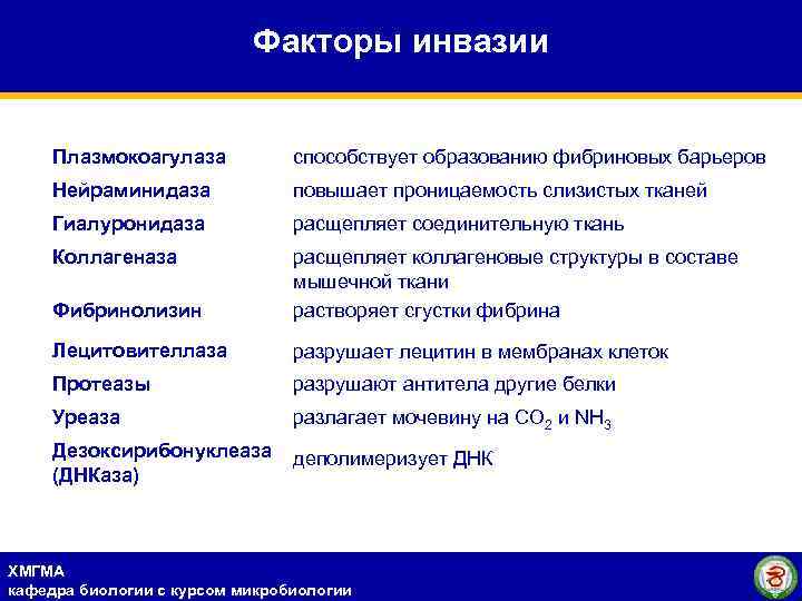 Факторы инвазии Плазмокоагулаза способствует образованию фибриновых барьеров Нейраминидаза повышает проницаемость слизистых тканей Гиалуронидаза расщепляет
