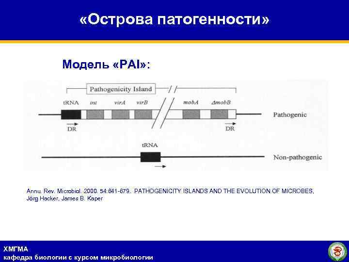  «Острова патогенности» Модель «PAI» : Annu. Rev. Microbiol. 2000. 54: 641 -679. PATHOGENICITY