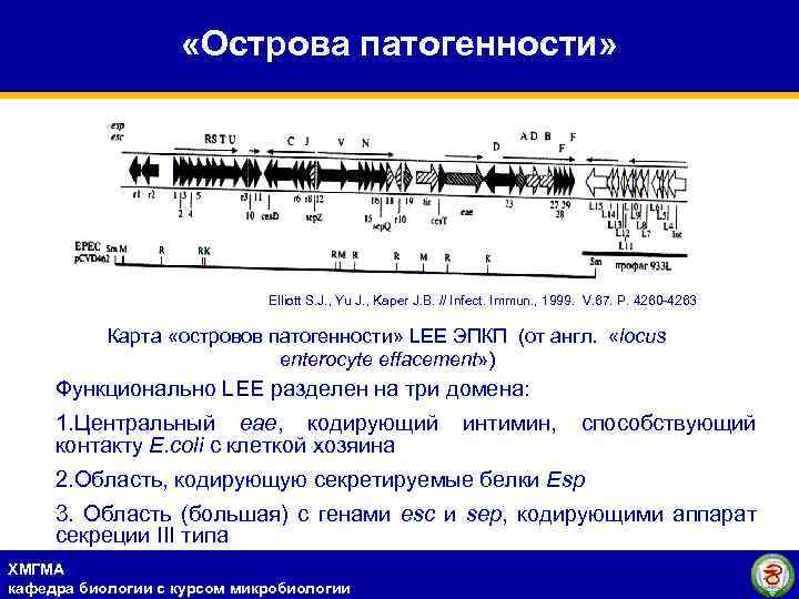  «Острова патогенности» Elliott S. J. , Yu J. , Kaper J. B. //