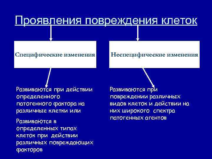 Специфические изменения