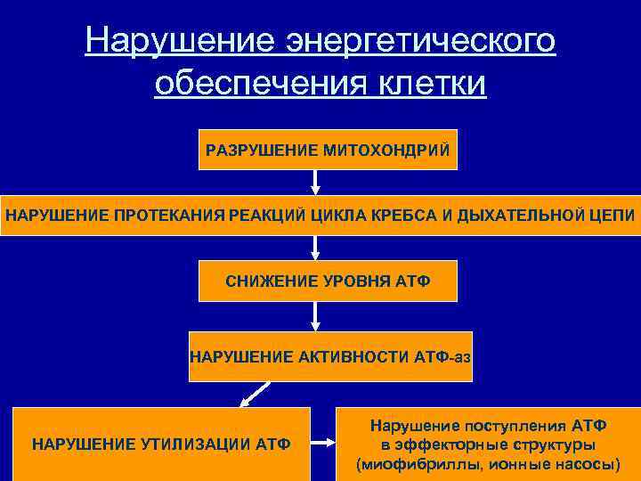 Повреждение клетки патофизиология презентация