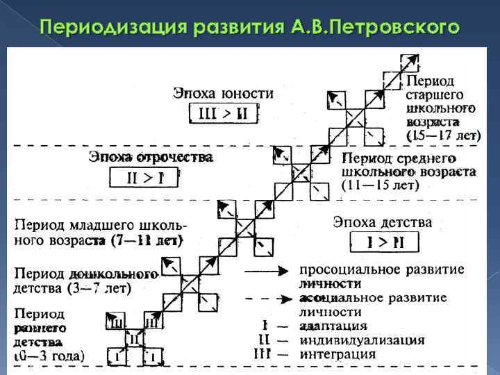 Возрастная психология детство отрочество юность. Периодизация развития Петровского. «Стадии развития личности по а.в.Петровскому». 33. Возрастная периодизация развития личности а.в. Петровского. Периодизация развития по Петровскому.