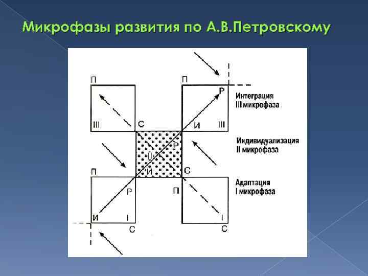 Микрофазы развития по А. В. Петровскому 