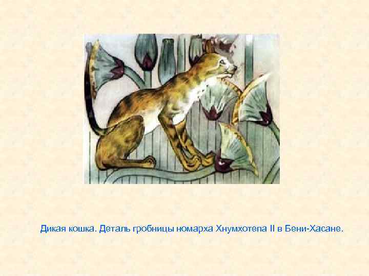 Дикая кошка. Деталь гробницы номарха Хнумхотепа II в Бени-Хасане. 