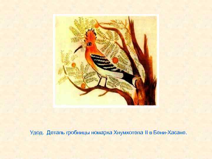 Удод. Деталь гробницы номарха Хнумхотепа II в Бени-Хасане. 