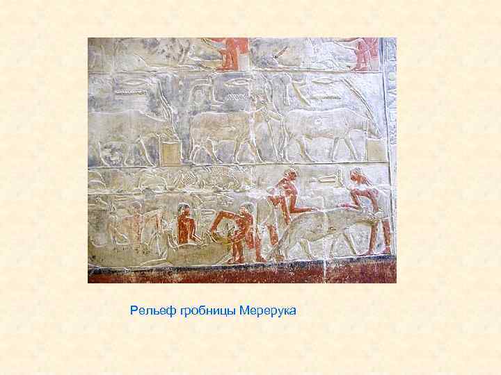Рельеф гробницы Мерерука 