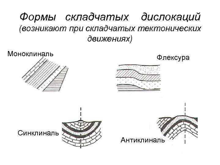 Формы складчатых дислокаций (возникают при складчатых тектонических движениях) Моноклиналь Синклиналь Флексура Антиклиналь 