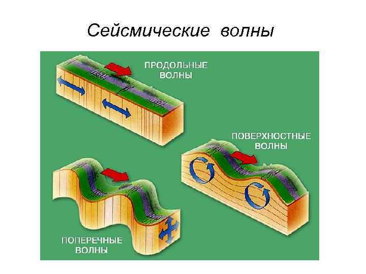 Сейсмические волны 