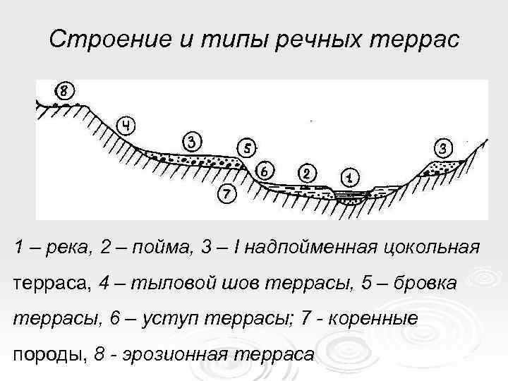 Бровка слова. Речные террасы структура. Строение пойм и речные террасы. Типы террас Геология. Элементы строения Речной террасы.