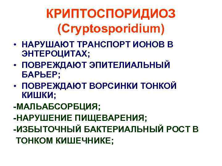 КРИПТОСПОРИДИОЗ (Cryptosporidium) • НАРУШАЮТ ТРАНСПОРТ ИОНОВ В ЭНТЕРОЦИТАХ; • ПОВРЕЖДАЮТ ЭПИТЕЛИАЛЬНЫЙ БАРЬЕР; • ПОВРЕЖДАЮТ