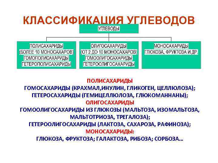 КЛАССИФИКАЦИЯ УГЛЕВОДОВ ПОЛИСАХАРИДЫ ГОМОСАХАРИДЫ (КРАХМАЛ, ИНУЛИН, ГЛИКОГЕН, ЦЕЛЛЮЛОЗА); ГЕТЕРОСАХАРИДЫ (ГЕМИЦЕЛЛЮЛОЗА, ГЛЮКОМАННАНЫ); ОЛИГОСАХАРИДЫ ГОМООЛИГОСАХАРИДЫ ИЗ