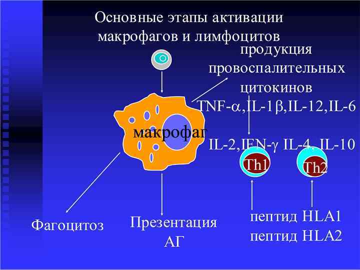 НОВОСИБИРСКИЙ ГОСУДАРСТВЕННЫЙ МЕДИЦИНСКИЙ УНИВЕРСИТЕТ кафедра детских инфекционных больных 