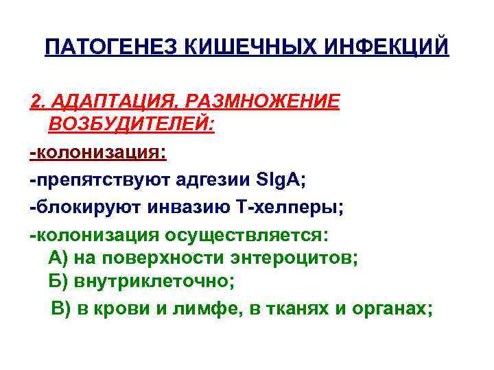 ПАТОГЕНЕЗ КИШЕЧНЫХ ИНФЕКЦИЙ 2. АДАПТАЦИЯ, РАЗМНОЖЕНИЕ ВОЗБУДИТЕЛЕЙ: -колонизация: -препятствуют адгезии SIg. A; -блокируют инвазию