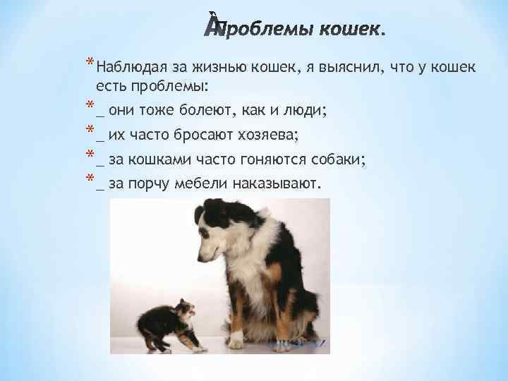 *Наблюдая за жизнью кошек, я выяснил, что у кошек есть проблемы: *_ они тоже