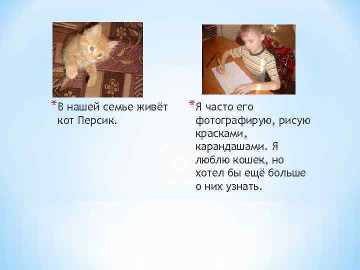 *В нашей семье живёт кот Персик. *Я часто его фотографирую, рисую красками, карандашами. Я