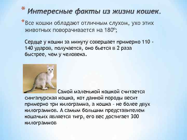 * *Все кошки обладают отличным слухом, ухо этих животных поворачивается на 180º; Сердце у