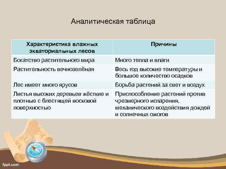 Аналитическая таблица Характеристика влажных экваториальных лесов Причины Богатство растительного мира Много тепла и влаги