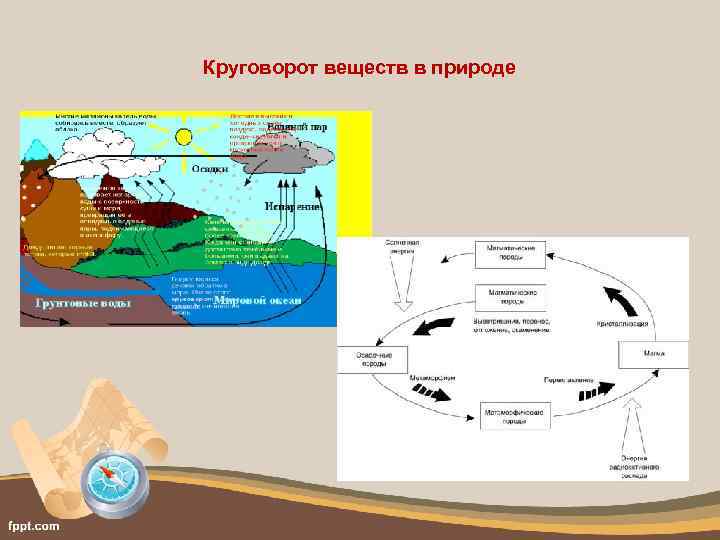 Круговорот веществ в природе 