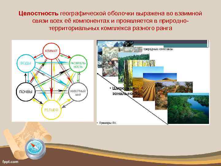 Целостность географической оболочки выражена во взаимной связи всех её компонентах и проявляется в природнотерриториальных