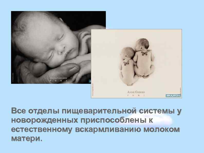 Все отделы пищеварительной системы у новорожденных приспособлены к естественному вскармливанию молоком матери. 