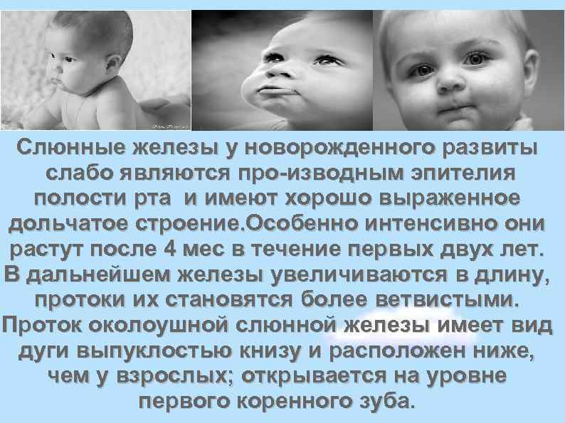 Слюнные железы у новорожденного развиты слабо являются про изводным эпителия полости рта и имеют