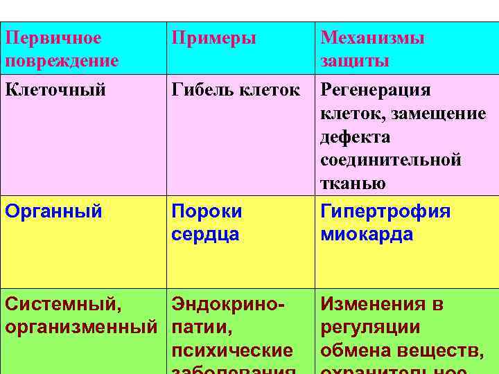 Первичное Примеры Механизмы повреждение защиты Клеточный Гибель клеток Регенерация клеток, замещение дефекта соединительной тканью