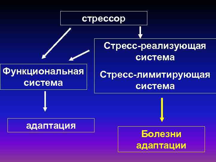 Ограниченная система