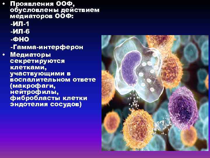  • Проявления ООФ, обусловлены действием медиаторов ООФ: -ИЛ-1 -ИЛ-6 -ФНО -Гамма-интерферон • Медиаторы