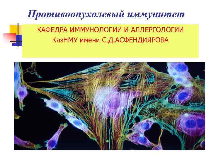 Противоопухолевый иммунитет КАФЕДРА ИММУНОЛОГИИ И АЛЛЕРГОЛОГИИ Каз. НМУ имени С. Д. АСФЕНДИЯРОВА 