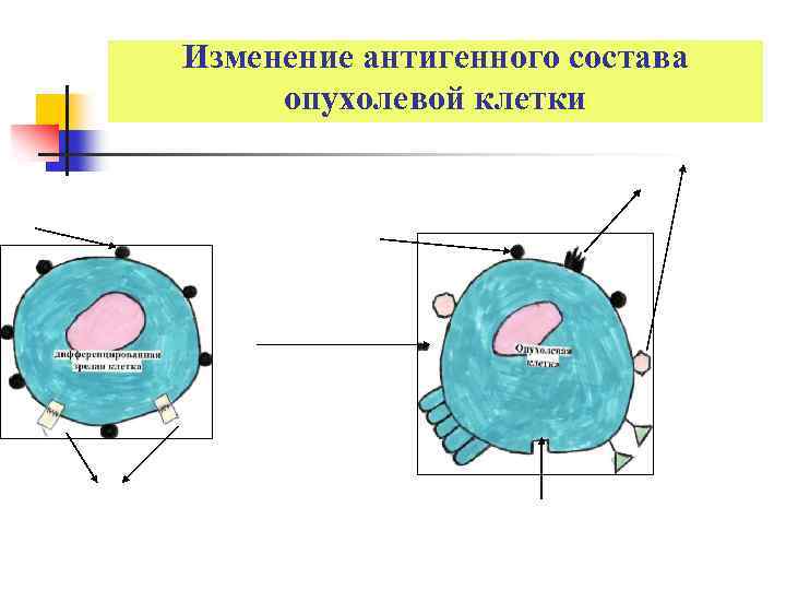 Изменение антигенного состава опухолевой клетки 