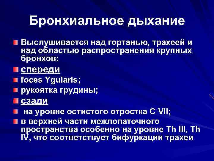 Бронхиальное дыхание Выслушивается над гортанью, трахеей и над областью распространения крупных бронхов: спереди foces