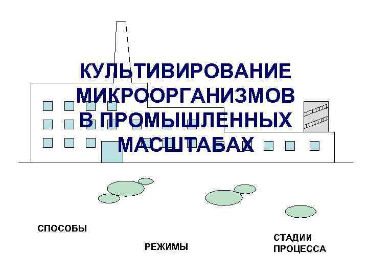 КУЛЬТИВИРОВАНИЕ МИКРООРГАНИЗМОВ В ПРОМЫШЛЕННЫХ МАСШТАБАХ СПОСОБЫ РЕЖИМЫ СТАДИИ ПРОЦЕССА 