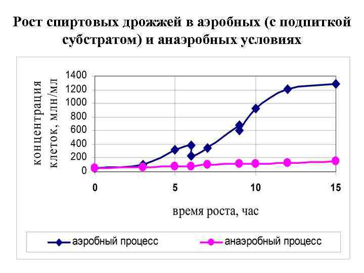 Рост спиртовых дрожжей в аэробных (с подпиткой субстратом) и анаэробных условиях 