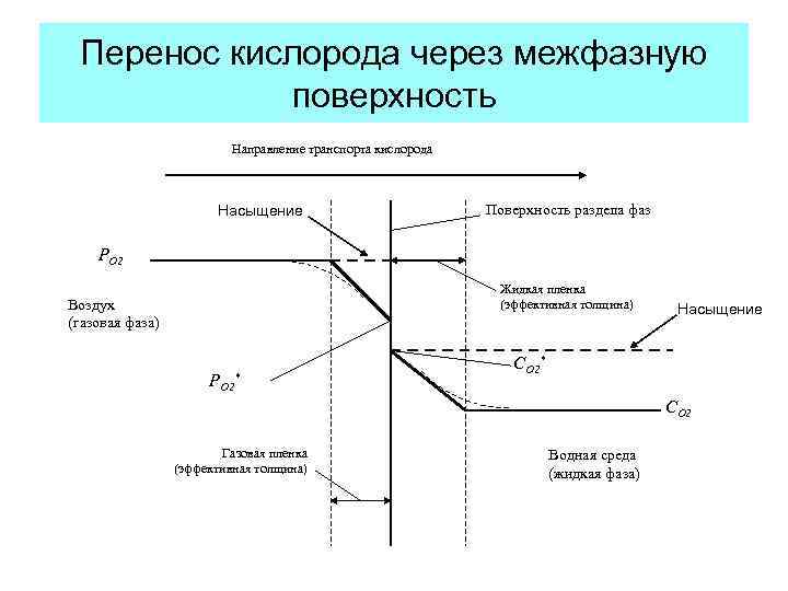 Перенос кислорода через межфазную поверхность Направление транспорта кислорода Насыщение Поверхность раздела фаз РО 2