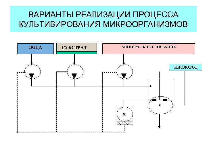 ВАРИАНТЫ РЕАЛИЗАЦИИ ПРОЦЕССА КУЛЬТИВИРОВАНИЯ МИКРООРГАНИЗМОВ ВОДА СУБСТРАТ МИНЕРАЛЬНОЕ ПИТАНИЕ КИСЛОРОД X 