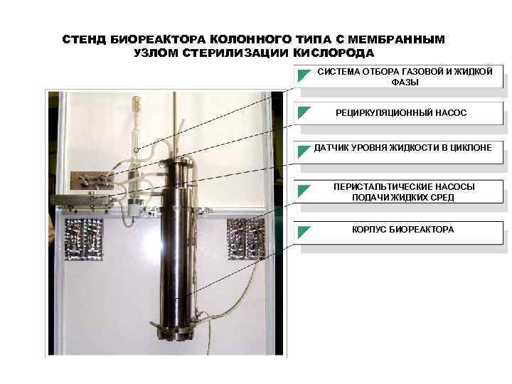 СТЕНД БИОРЕАКТОРА КОЛОННОГО ТИПА С МЕМБРАННЫМ УЗЛОМ СТЕРИЛИЗАЦИИ КИСЛОРОДА СИСТЕМА ОТБОРА ГАЗОВОЙ И ЖИДКОЙ