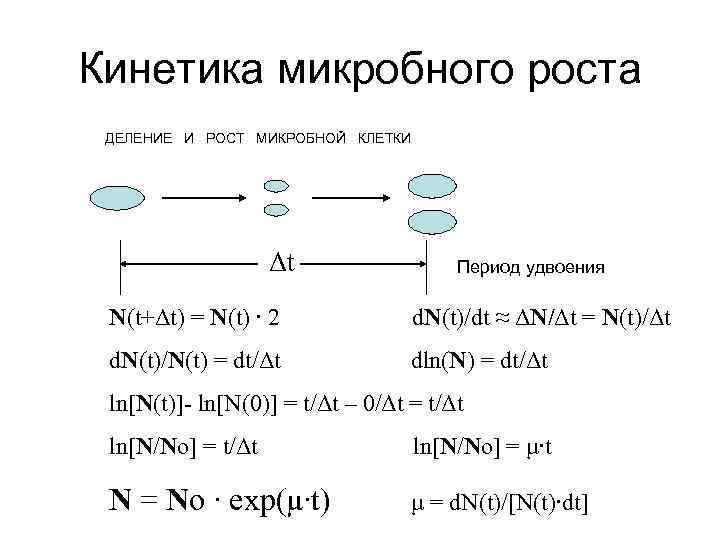 Кинетика микробного роста ДЕЛЕНИЕ И РОСТ МИКРОБНОЙ КЛЕТКИ Δt Период удвоения N(t+Δt) = N(t)